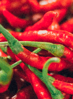 碳燒麻辣調味粉